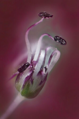 Egbert-Beuving-0420132-3-W