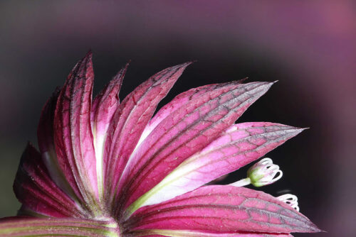 Egbert-Beuving-0420132-5-W