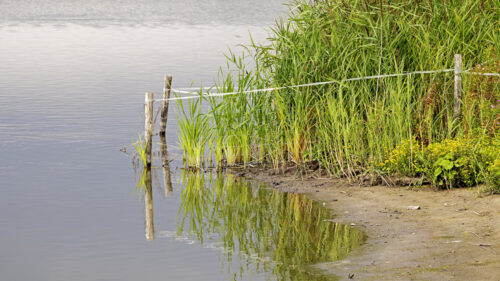 Hessel-Draaisma-Markerwadden-5,-bondsnummer-0401212-W