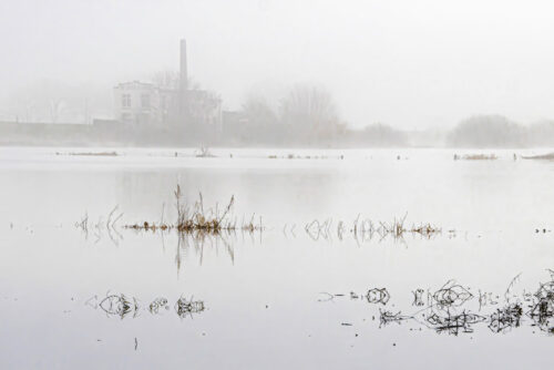 februari_13-web