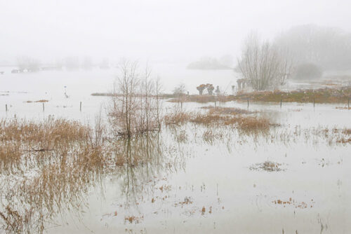 februari_14-web